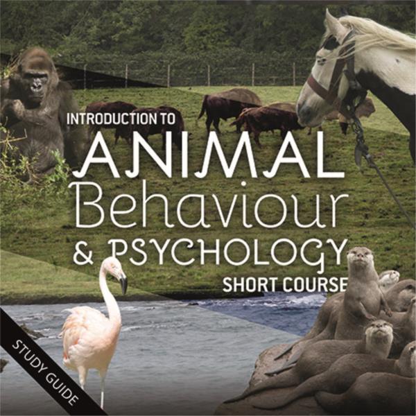 Short Course- Animal Behaviour and Psychology