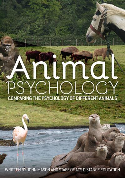 Animal Psychology - PDF Ebook