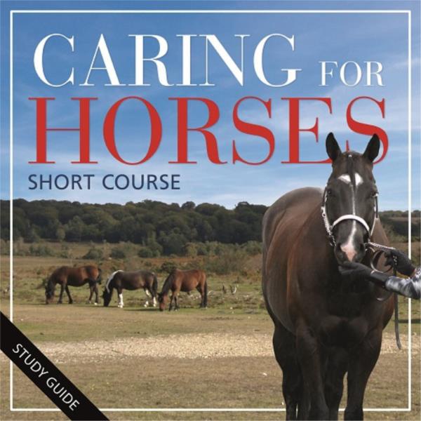 Short Course- Caring for Horses