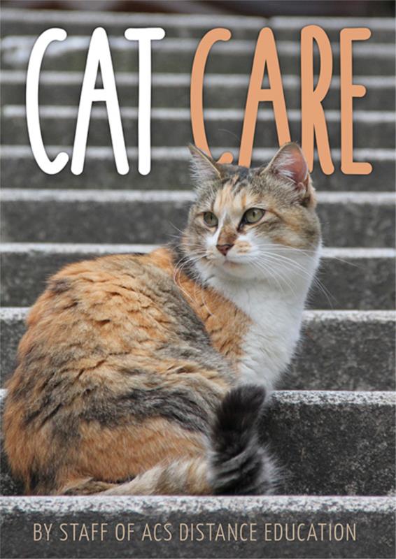 Cat Care PDF eBook