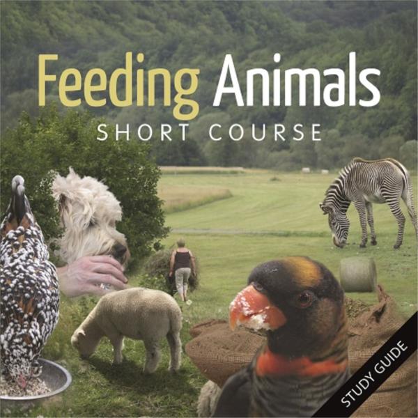  Short Course- Feeding Animals