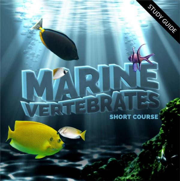 Short Course- Marine Vertebrates