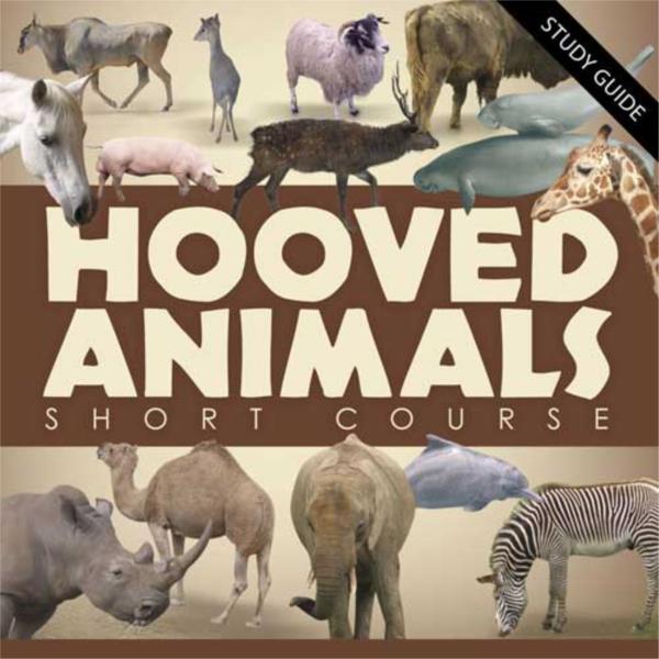 Short Course- Hooved Animals