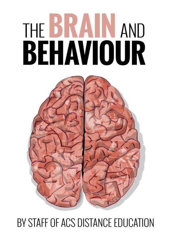 free symbols computation and intentionality a critique of the computational theory of mind