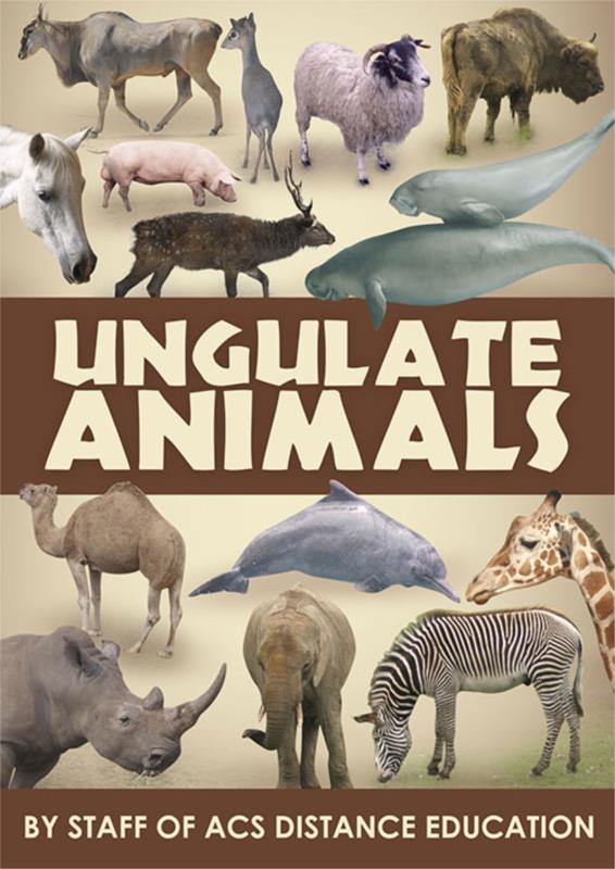 Ungulate Animals- PDF ebook