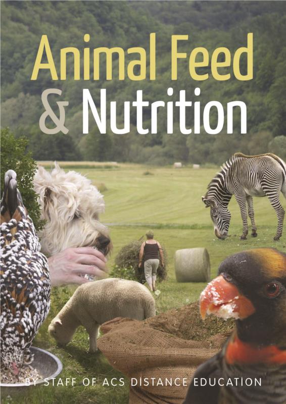 an essay on animal nutrition