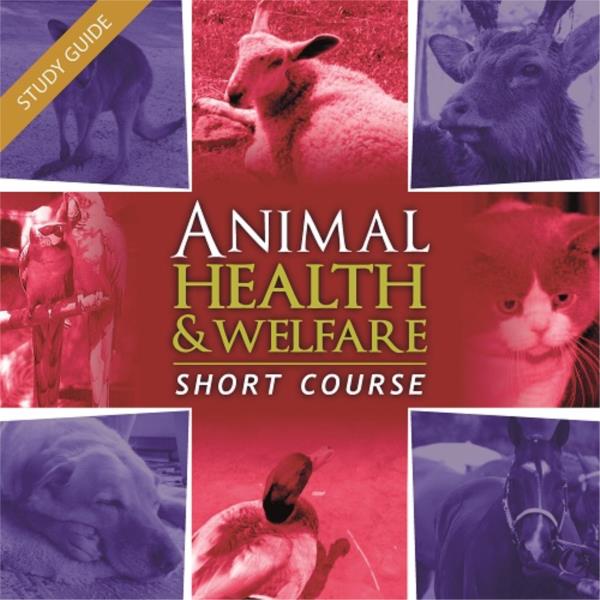 Short Course- Animal Health and Welfare