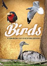 Birds - Identify Birds - PDF ebook