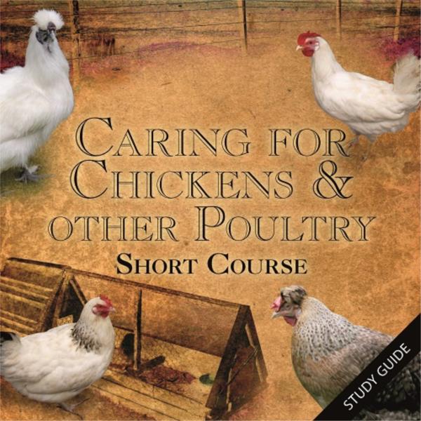 Short Course- Caring for Chickens and other Poultry