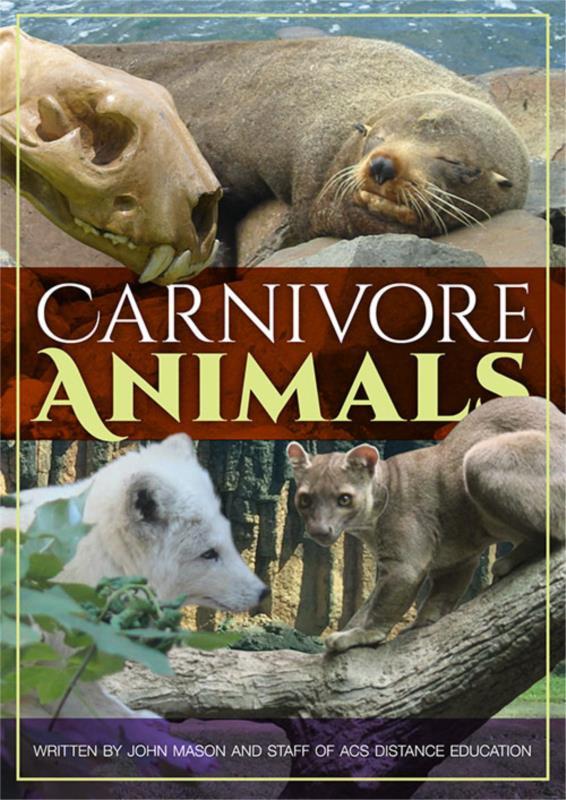 Carnivore Animals ebook