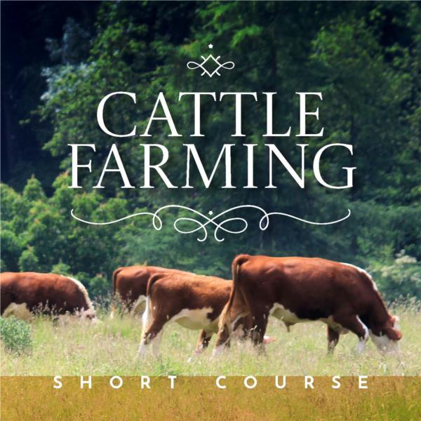 Cattle Farming - Short Course