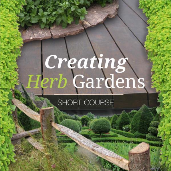 Creating Herb Gardens