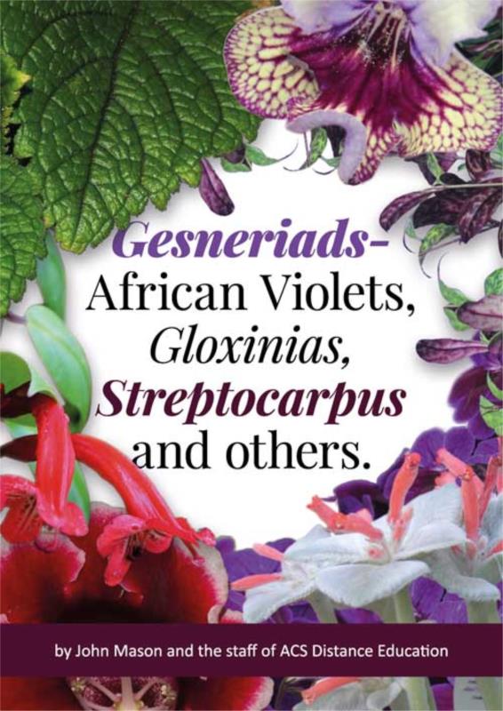 Gesneriads- African Violets, Gloxinias, Streptocarpus and others