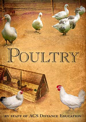 Poultry- PDF ebook