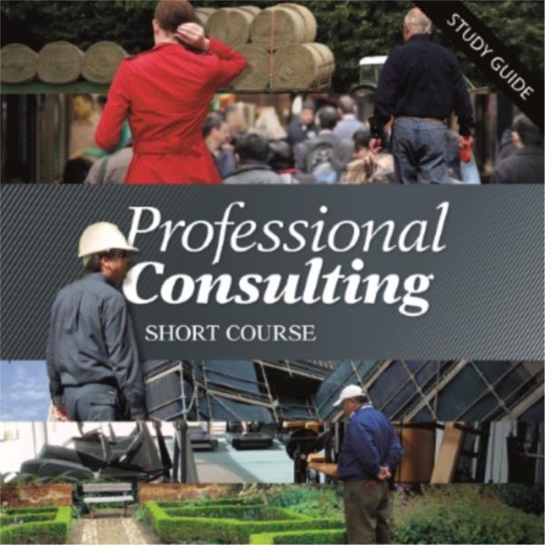 Professional Consulting Short Course