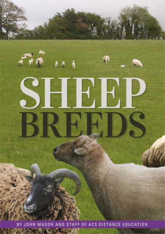 Sheep | Breeds | Ebook