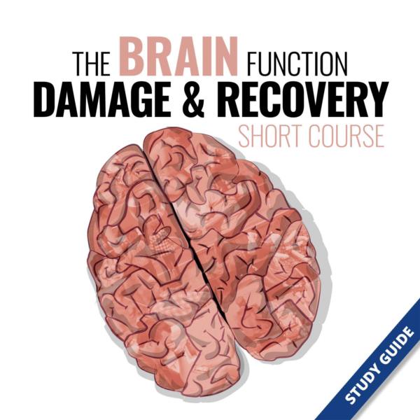 The Brain Function, Damage and Recovery Short Course